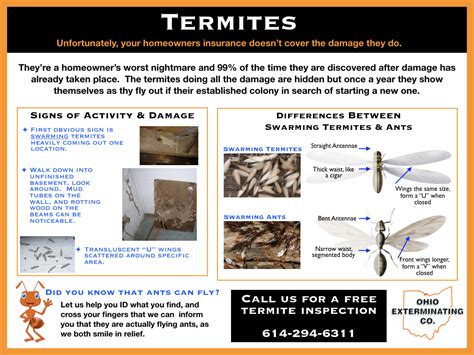 Termite Inspection Ohio Exterminating