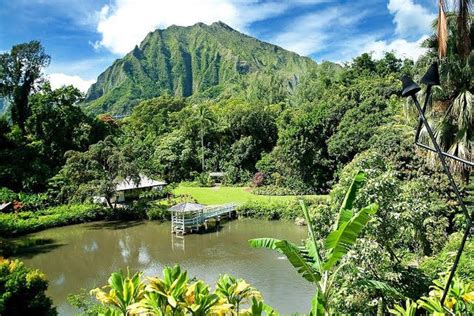 Kaneohe Menu — Haleiwa Joe's