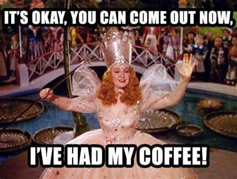 Pin By Pamela West On Humor Glinda The Good Glinda The Good Witch