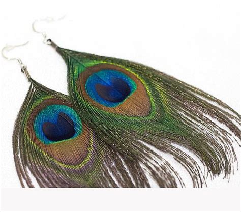 Pair Of Peacock Feather Earrings On White Background