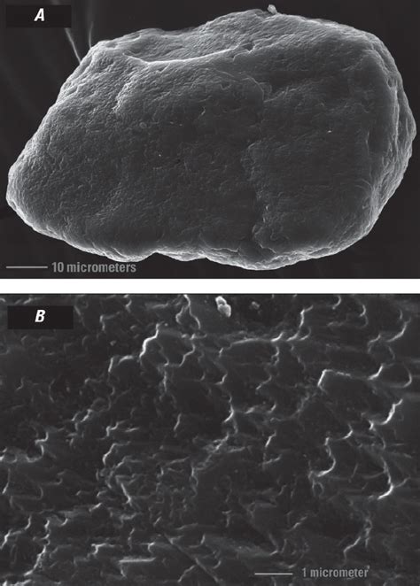 Scanning Electron Microscope Images Of Sand And Silt From The Early