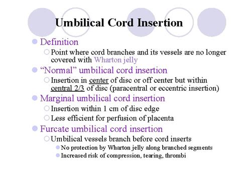 Velamentous Umbilical Cord Insertion Case 1 Pathology No