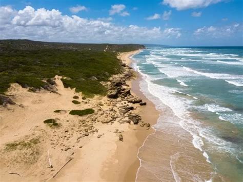 Guide to Warrnambool Whale Watching | Great Ocean Road Collective