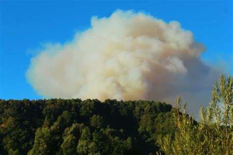 Municipalidad Temuco On Twitter Tras Los Focos De Incendios Que Ahora