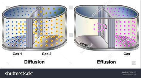 Grahams Law Gas Diffusion Effusion Stock Vector Royalty Free