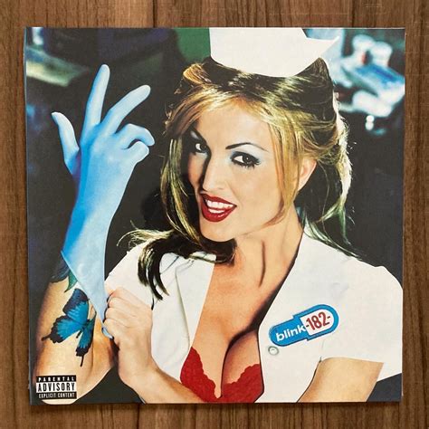 Blink 182 Enema Of The State Clairo Diary 001 Vinyl Hobbies