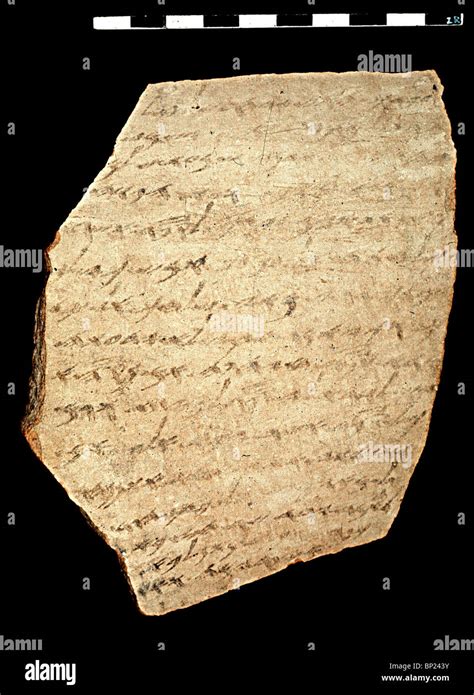 Ostraca Ostraca Hi Res Stock Photography And Images Alamy