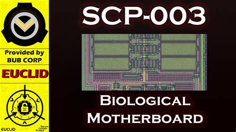 [scp Reading] Scp 003 Biological Motherboard Youtube