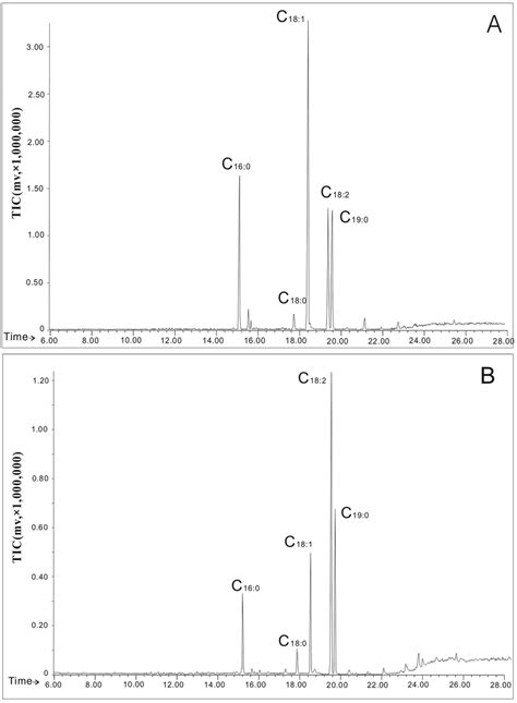 Total Ion Currents Tic Of Gas Chromatography Mass Spectrometry For