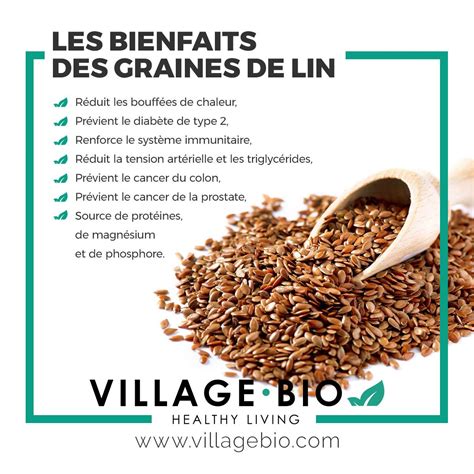 Les Bienfaits Des Graines De Lin Bienfaits Des Graines De Lin