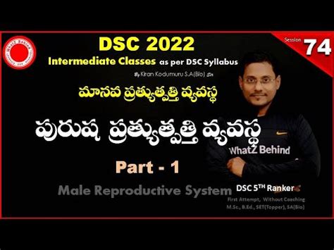 Male Reproductive System Part 1 DSC Biology Best Free Online Classes