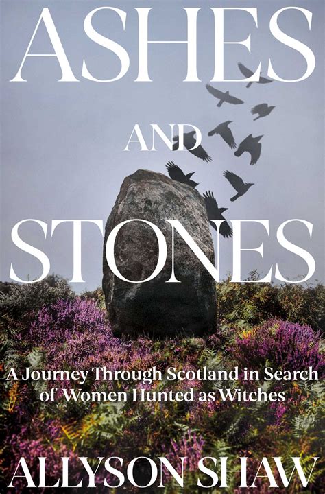 Ashes And Stones Book By Allyson Shaw Official Publisher Page