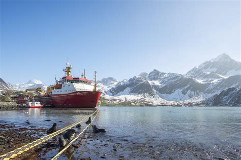 King Edward Point, South Georgia and South Sandwich Islands. This is ...