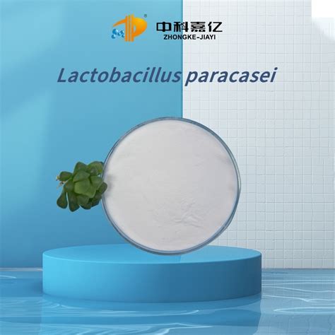 Food Grade Lactobacillus Paracasei Probiotics Powder Gut Support