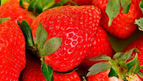 Conoce Todos Los Beneficios Y Propiedades De Las Fresas Noticias De