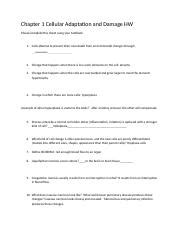 Lecture Outline Docx Unit Two Lecture Outline Immunity Stress The