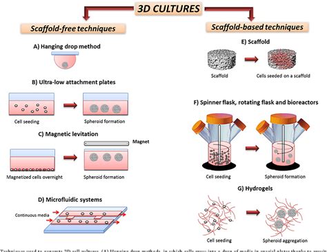 Figure From Methodological Aspects And Pharmacological Applications