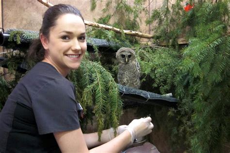 Training And Careers In Wildlife Rehabilitation Bc Spca