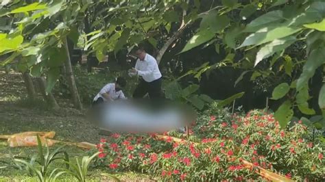 基隆大武崙砲台驚見泰女遺體 疑被砍死棄屍