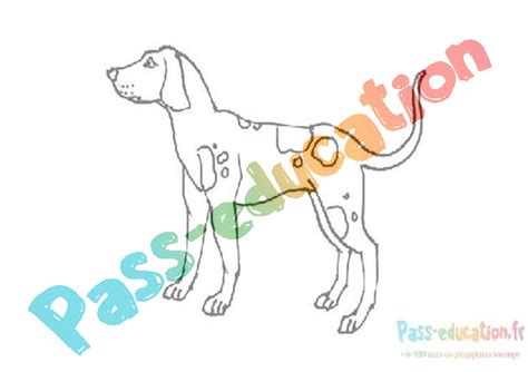 Coloriage Chiot Gratuit à Imprimer Dessins De Chiots à Colorier