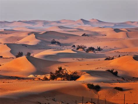 Sand Dunes Communicate As They Migrate Smithsonian