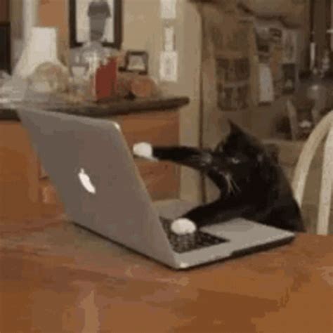 Cat Typing GIF - Cat Typing - Discover & Share GIFs