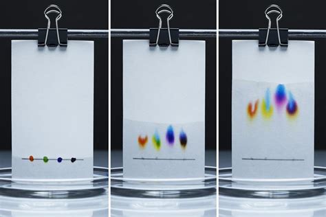 Experimentos Con Colores Con Cromatografía En Papel