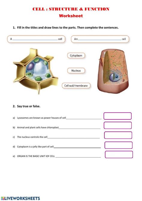 Cell Structure And Function High School Biology Worksheets And