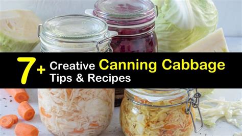 7+ Creative Canning Cabbage Tips & Recipes