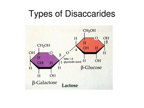 Carbohydrates. - ppt download