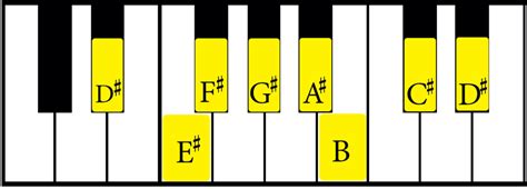 The D Sharp Minor Scale: A Complete Guide - Jade Bultitude