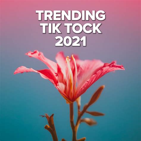 Trending Tik Tock 2021 Compilation By Various Artists Spotify