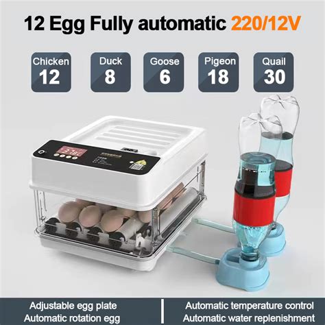 V V Eggs Incubator Digital Automatic Egg Incubator Fully Automatic