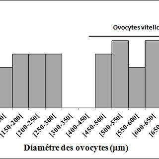 Évolution de la sex ratio en fonction de la taille chez Z ophiocephalus Download Scientific