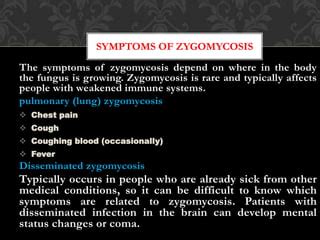 Zygomycosis | PPT