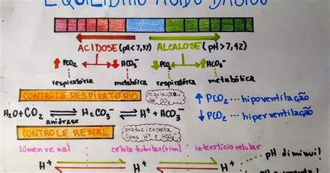 Equilíbrio Ácido Básico