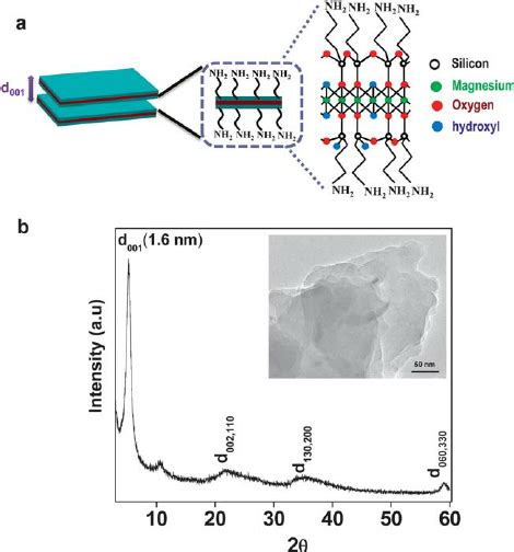 A Two Dimensional Structural Representation Of Amine Functionalized