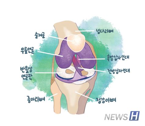 Hyper 100세 시대 무릎 통증 관리 운동과 조기 치료·관리가 중요