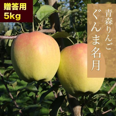 Red Apple ぐんま名月 贈答用 5kg りんご 果物 旬 フルーツ 産地直送 ギフト 9000000277649 うさマート