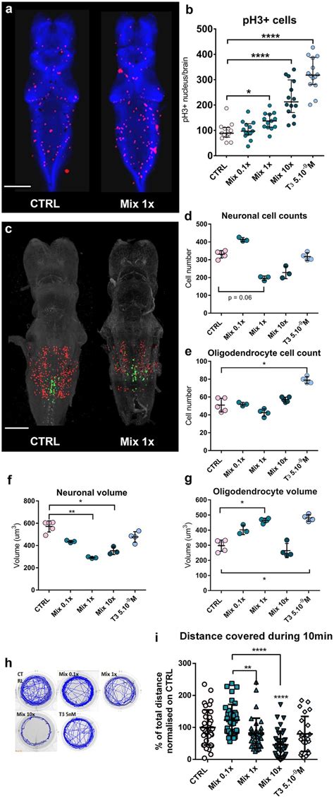 Mixture enhances proliferation in brain, modifies neural cell ... 