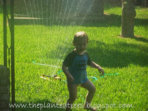 The Planted Trees Wordless Wednesday Sprinkler Fairy