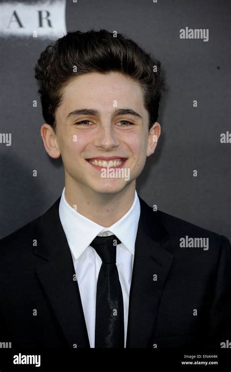 Interstellar Timothee Chalamet High Resolution Stock Photography And