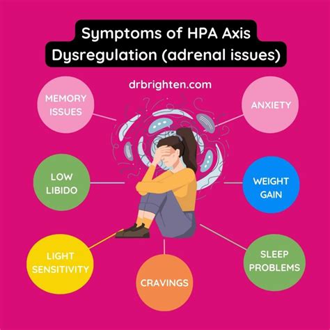 What Is Hpa Axis Dysfunction 7 Steps To Heal Hpa D