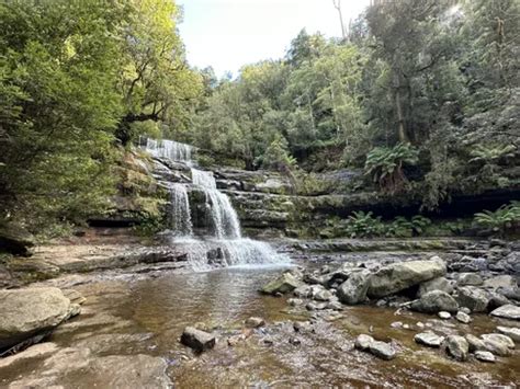 Best Hikes And Trails In Liffey Falls State Reserve AllTrails