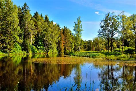 Serene Blue Lake Wallpaper Other Wallpaper Better