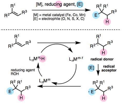 Cross Coupling Of Functionalized Olefins Chem Station Int Ed