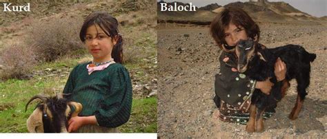 Historical Relationship Between Kurd and Baloch - The Baloch News