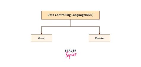 Grant Command In Sql Scaler Topics