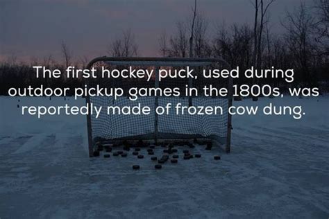 Hockey Facts That You Need In Your Life Right Now 24 Pics