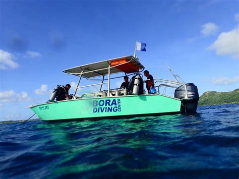 Eleuthera Bora Diving Center Reviews Photos And Special Rates